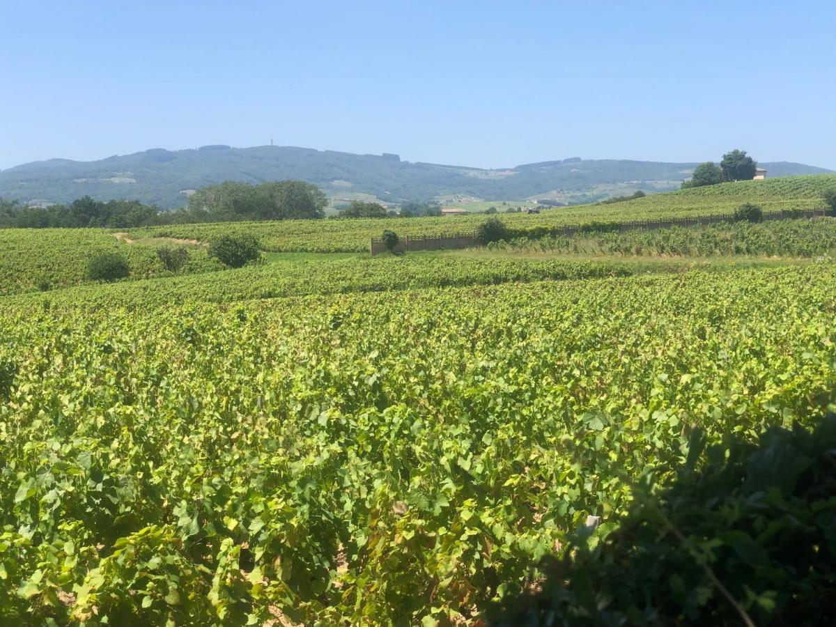 La Gatille Villié-Morgon Esterno foto